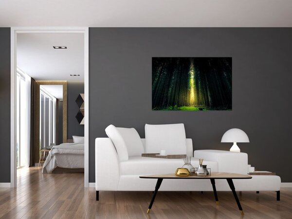 Obraz temného lesa (90x60 cm)