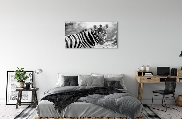 Sklenený obraz retro zebra 100x50 cm 2 Prívesky