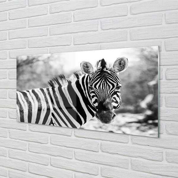 Sklenený obraz retro zebra 100x50 cm 2 Prívesky