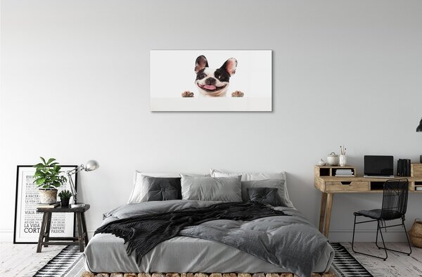 Sklenený obraz pes 100x50 cm 2 Prívesky