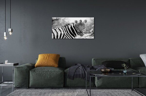 Sklenený obraz retro zebra 100x50 cm 2 Prívesky