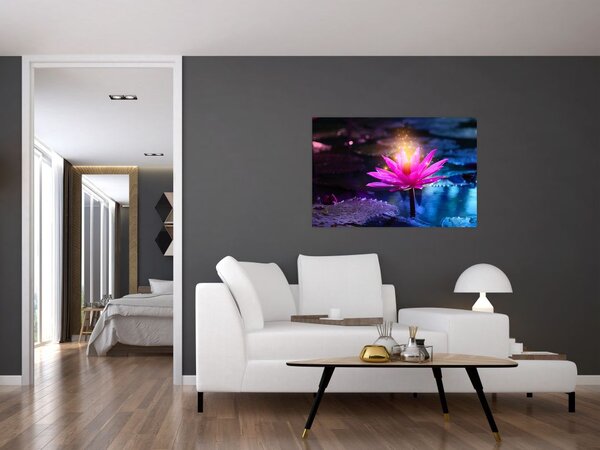 Obraz lekna na vode (90x60 cm)