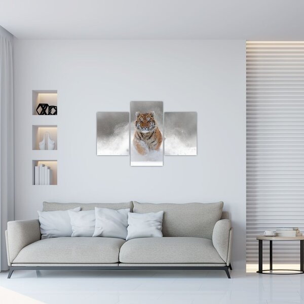 Obraz bežiaceho tigra v snehu (90x60 cm)
