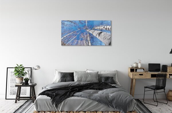 Sklenený obraz breza neba 100x50 cm 2 Prívesky