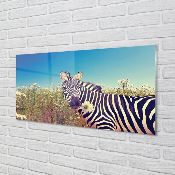 Sklenený obraz zebra kvety 100x50 cm 2 Prívesky