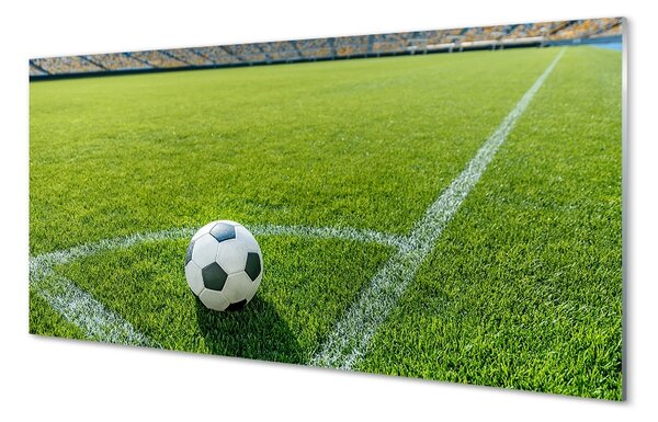 Obraz na skle Futbalový štadión trávy 100x50 cm 2 Prívesky