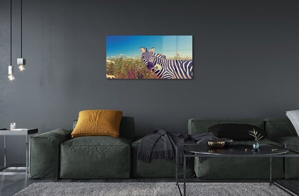 Sklenený obraz zebra kvety 100x50 cm 2 Prívesky