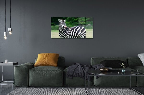 Sklenený obraz Zebra box 100x50 cm 2 Prívesky