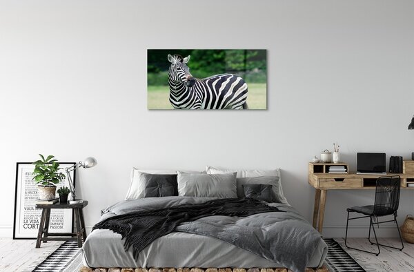 Sklenený obraz Zebra box 100x50 cm 2 Prívesky
