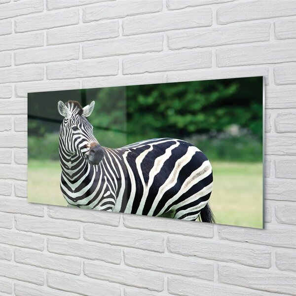 Sklenený obraz Zebra box 100x50 cm 2 Prívesky