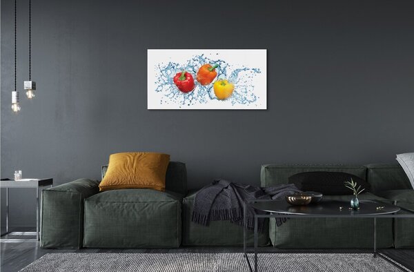 Obraz na skle korenie voda 100x50 cm 2 Prívesky
