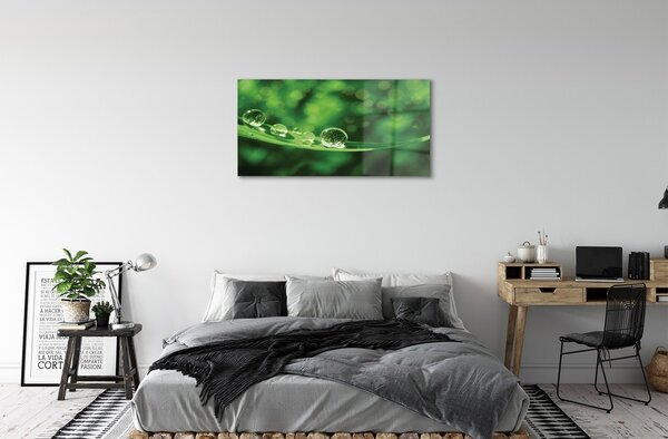 Obraz na skle Vodné kvapky makro 100x50 cm 2 Prívesky