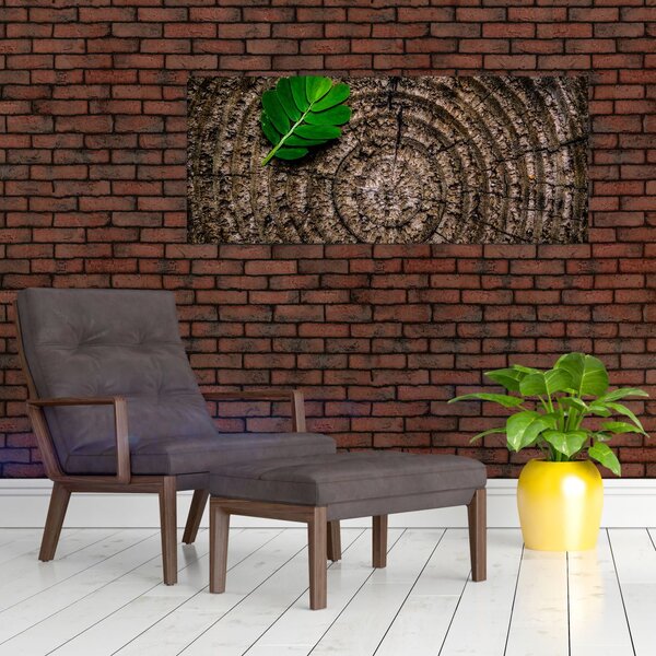 Obraz listu na kmeni stromu (120x50 cm)