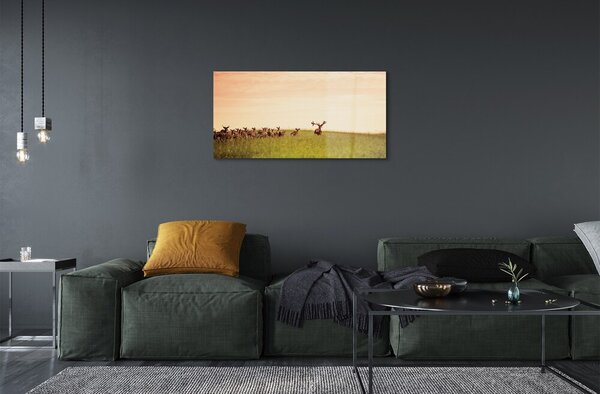 Sklenený obraz Stádo jeleňov poľa svitania 100x50 cm 2 Prívesky