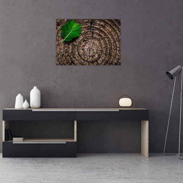 Obraz listu na kmeni stromu (70x50 cm)