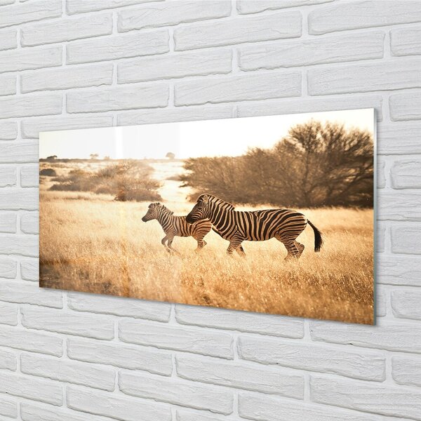 Sklenený obraz Zebra poľa sunset 100x50 cm 2 Prívesky