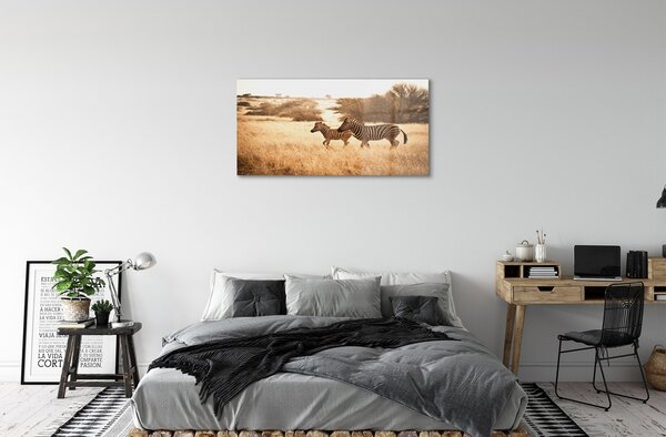 Sklenený obraz Zebra poľa sunset 100x50 cm 2 Prívesky