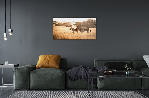 Sklenený obraz Zebra poľa sunset 100x50 cm 2 Prívesky