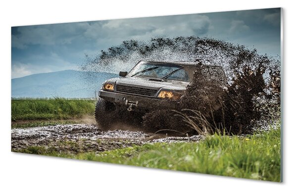 Obraz na skle Auto Field hory mraky 100x50 cm 2 Prívesky