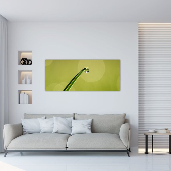 Obraz kvapky vody na tráve (120x50 cm)