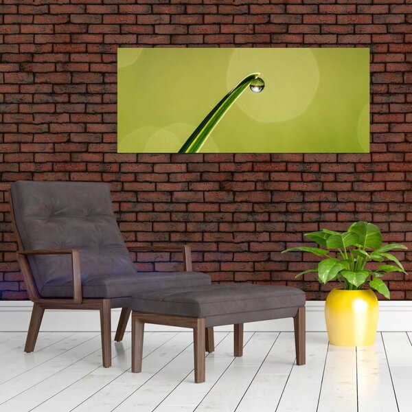 Obraz kvapky vody na tráve (120x50 cm)
