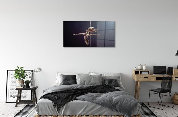 Sklenený obraz Tanec rúrka žena 100x50 cm 2 Prívesky