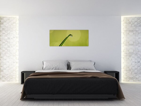 Obraz kvapky vody na tráve (120x50 cm)