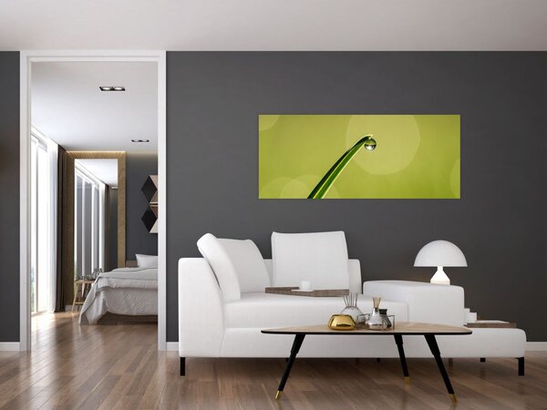 Obraz kvapky vody na tráve (120x50 cm)
