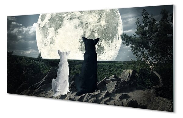 Sklenený obraz Wolves mesiac lesné 100x50 cm 2 Prívesky
