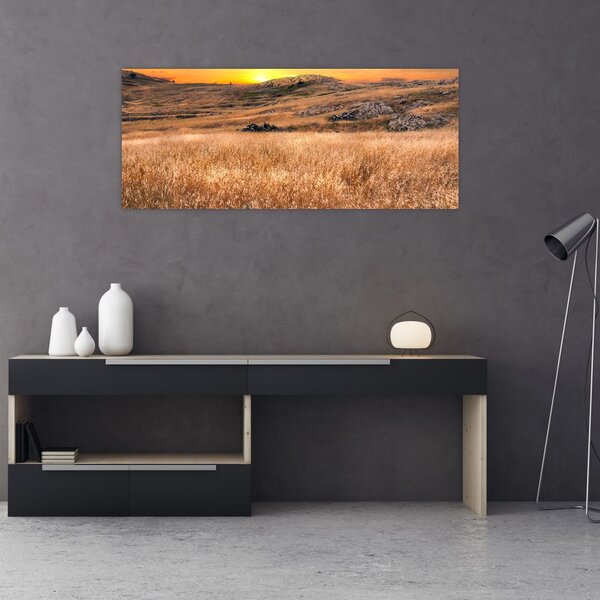 Obraz pole (120x50 cm)