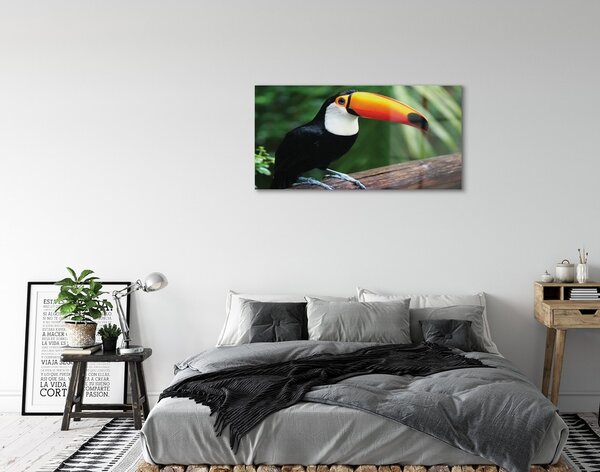 Sklenený obraz Tukan na vetve 100x50 cm 2 Prívesky