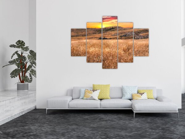 Obraz pole (150x105 cm)