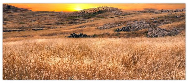 Obraz pole (120x50 cm)