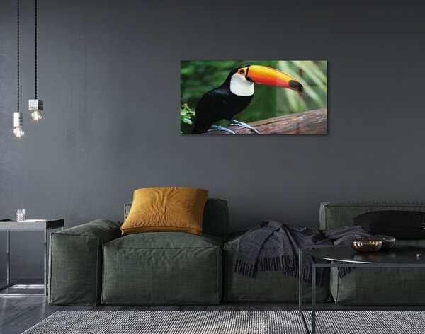Sklenený obraz Tukan na vetve 100x50 cm 2 Prívesky