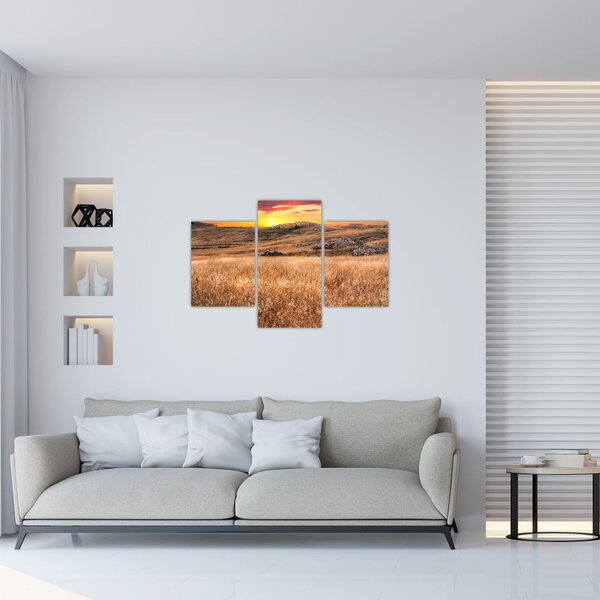 Obraz pole (90x60 cm)