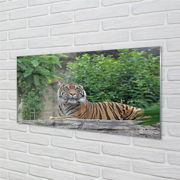 Sklenený obraz Tiger Woods 100x50 cm 2 Prívesky