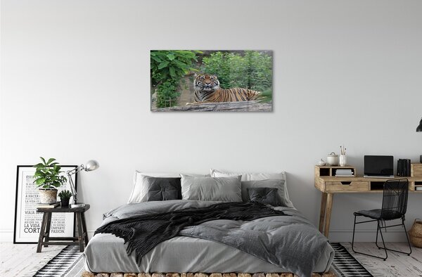 Sklenený obraz Tiger Woods 100x50 cm 2 Prívesky