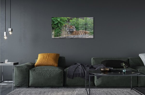 Sklenený obraz Tiger Woods 100x50 cm 2 Prívesky
