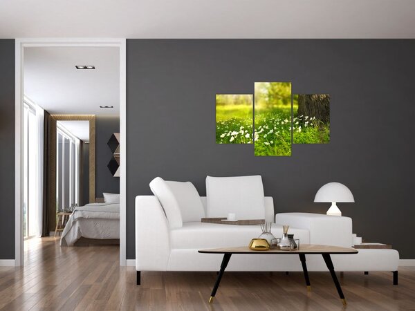 Obraz paseky a kvetín (90x60 cm)