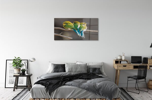 Sklenený obraz Vtáky na vetve 100x50 cm 2 Prívesky