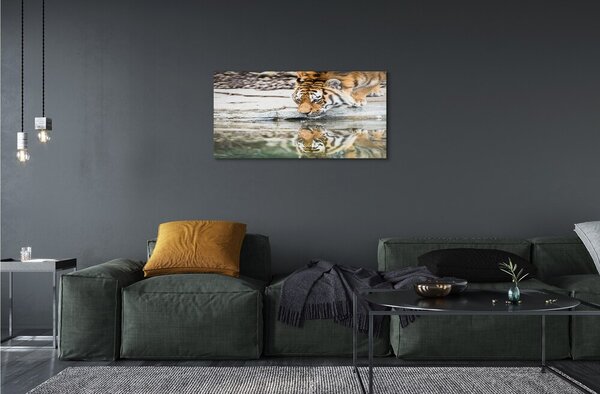 Sklenený obraz tiger pitie 100x50 cm 2 Prívesky