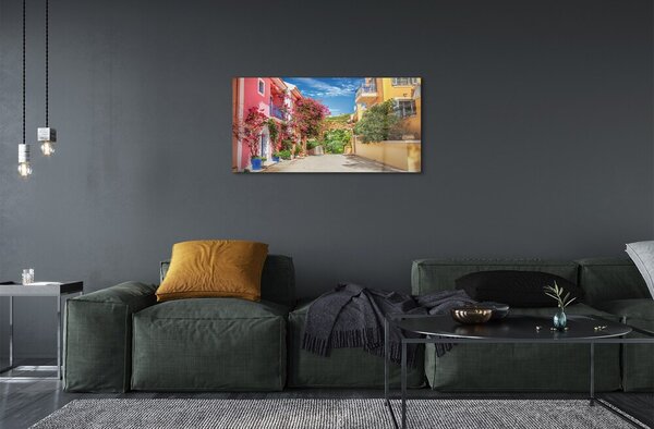 Sklenený obraz Grécko kvety budovy hore 100x50 cm 2 Prívesky