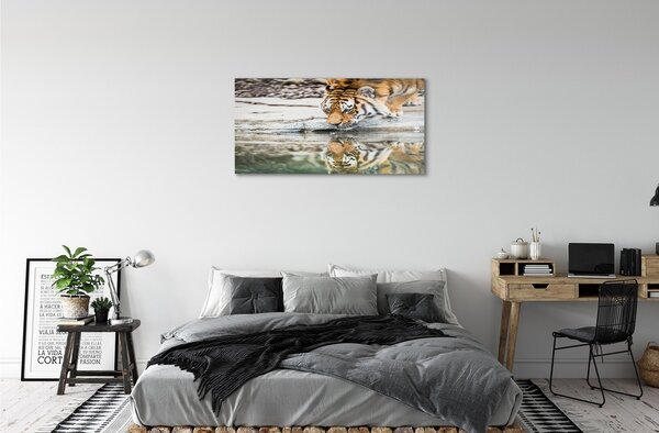 Sklenený obraz tiger pitie 100x50 cm 2 Prívesky
