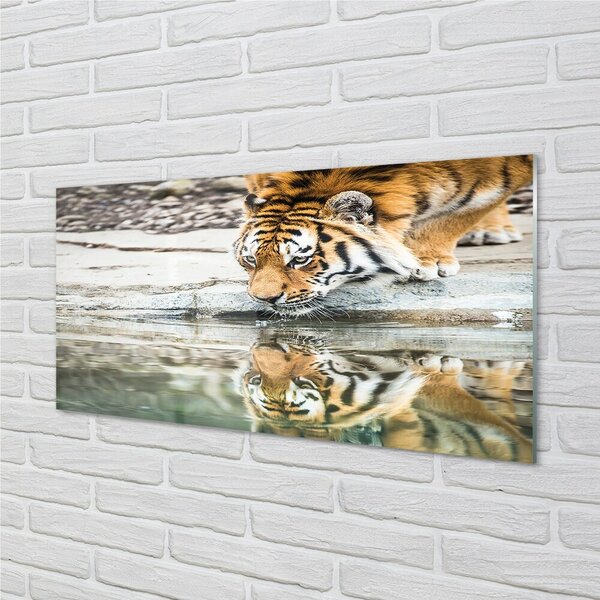 Sklenený obraz tiger pitie 100x50 cm 2 Prívesky