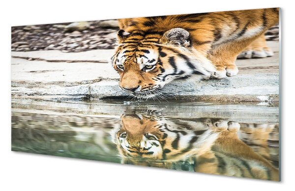 Sklenený obraz tiger pitie 100x50 cm 2 Prívesky