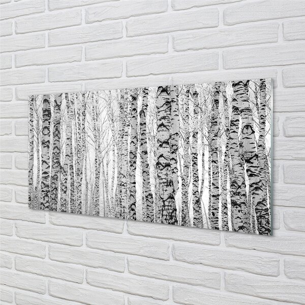 Sklenený obraz Čierna a biela breza 120x60 cm 2 Prívesky