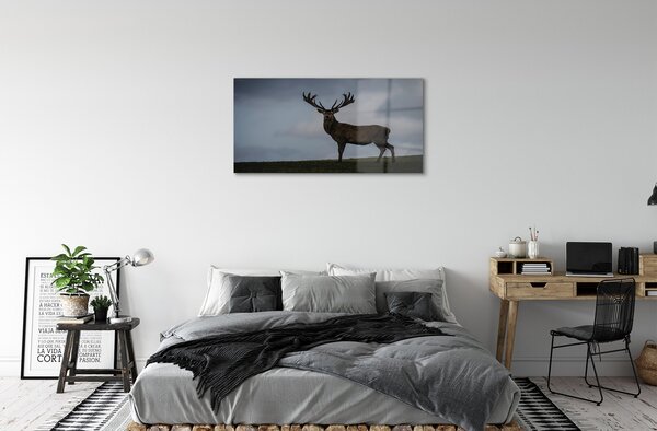 Sklenený obraz lúčenie so slobodou 100x50 cm 2 Prívesky
