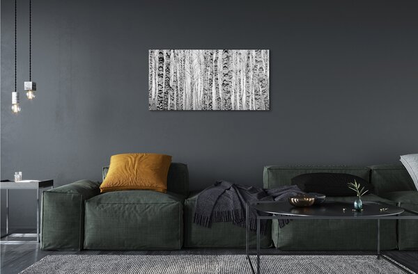 Sklenený obraz Čierna a biela breza 120x60 cm 2 Prívesky
