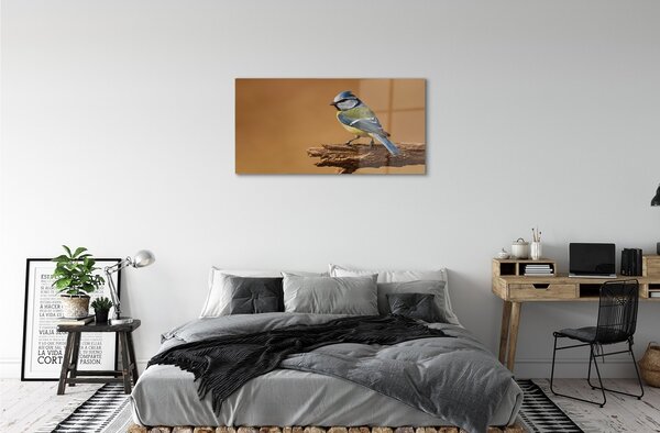 Sklenený obraz Vták 100x50 cm 2 Prívesky