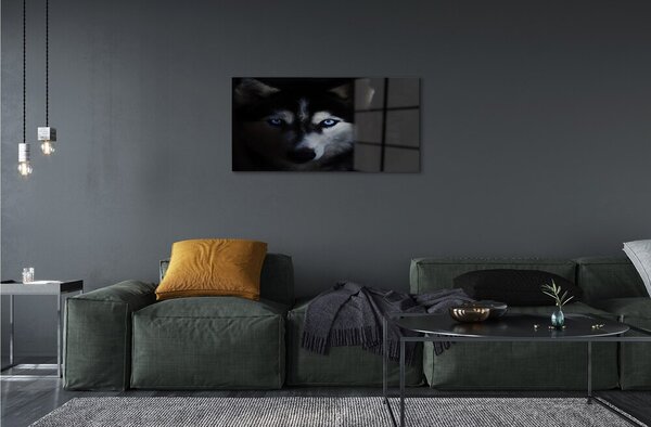 Sklenený obraz wolf Eyes 100x50 cm 2 Prívesky